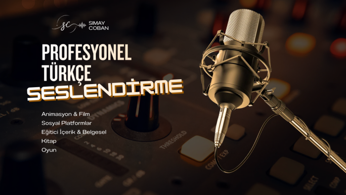 projelerinizi profesyonelce seslendiririm