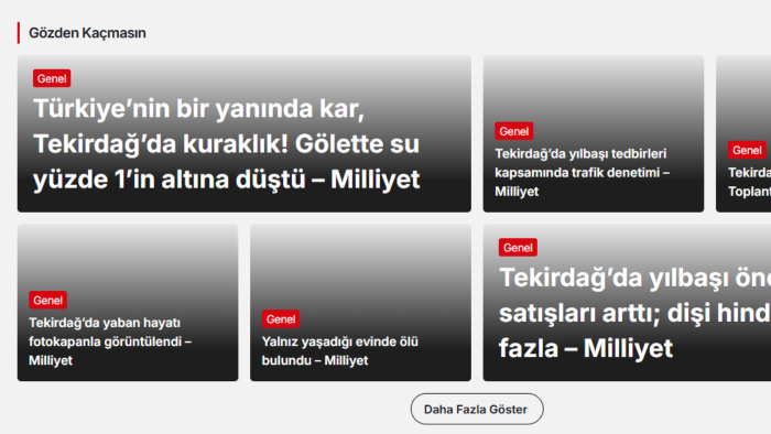 haber sitesi yapabilirim