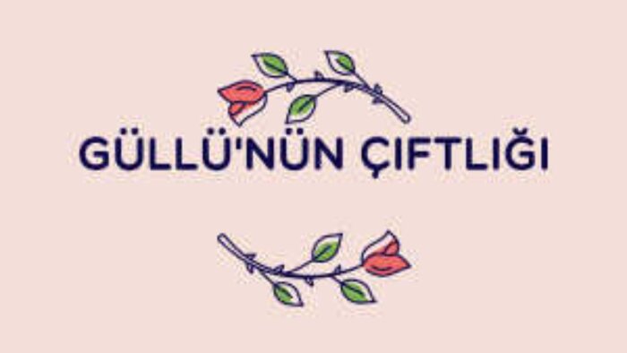 firmanız için güzel logolar tasarlayabilirim