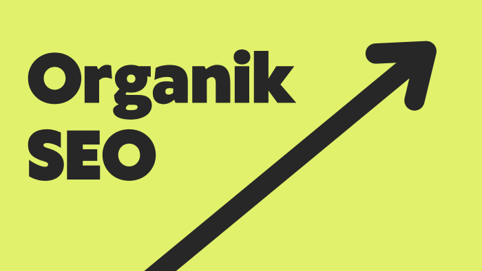 sitenizin iç ve dış seo çalışmasını yapıyorum