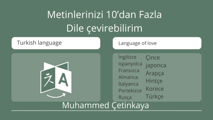 metinlerinizi ve yazılarınızı  ondan fazla dile çeviririm