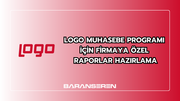logo muhasebe programlarına entegre raporlar yapabilirim