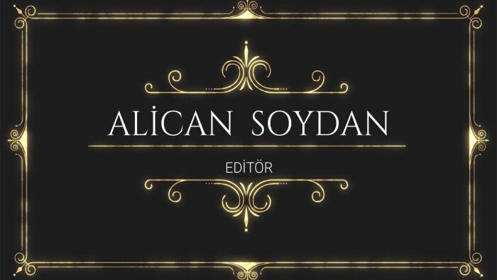 profesyonel şekilde videolarınızı düzenlerim