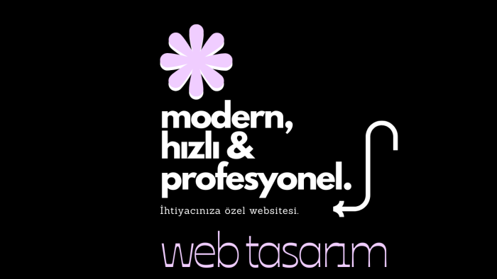 profesyonel şekilde anahtar teslim web sitesi yaparım