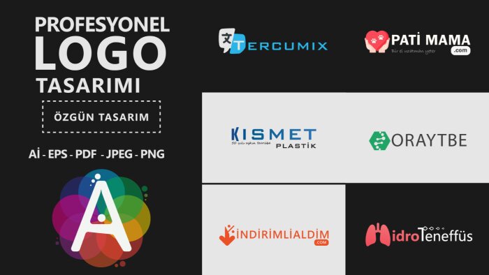 modern ve vektörel olarak profesyonel logo tasarlıyorum