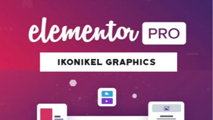 wordpress pro eklentilerinizi yükleyebilirim