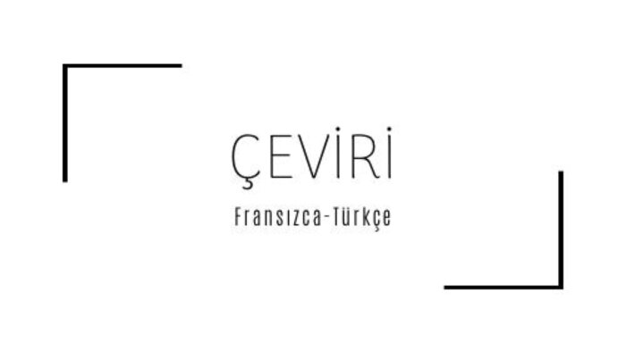 Fransızca-Türkçe çeviri yapıyorum