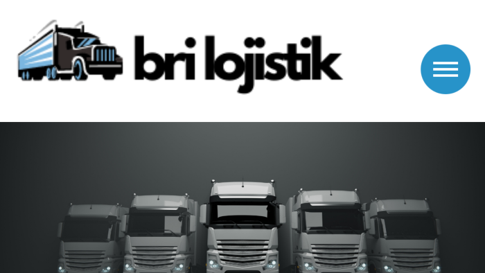 sizilere web sitesi tasarlayabilirim en iyi şekilde yaparım