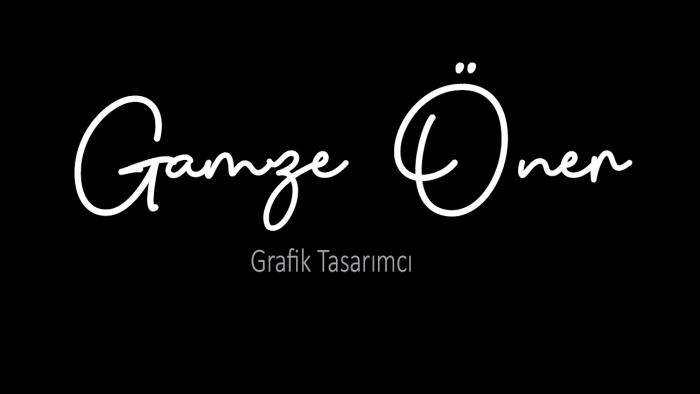 profesyonel olarak logo tasarımlarınızı yapabilirim