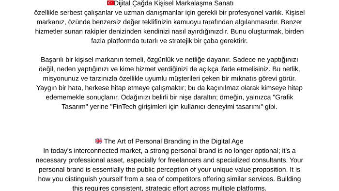 profesyonel çeviri ve kontrol yaparım