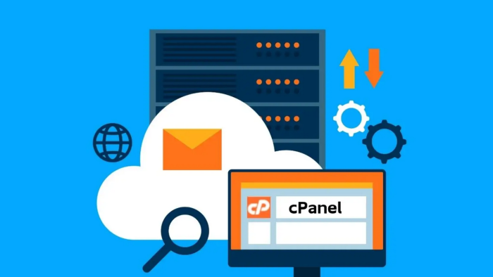 hosting  ve reseller hizmetlerinin yönetimini sağlayabilirim