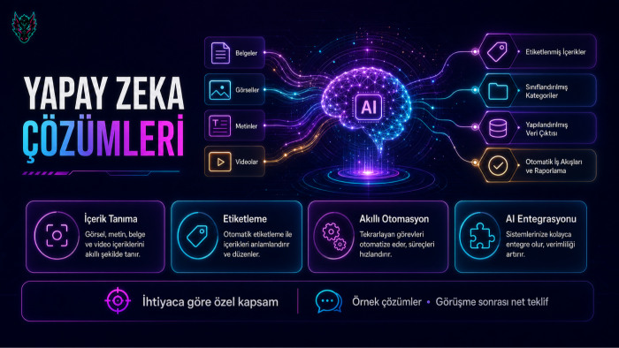 işinize özel yapay zekâ çözümü ve otomasyonu geliştiririm