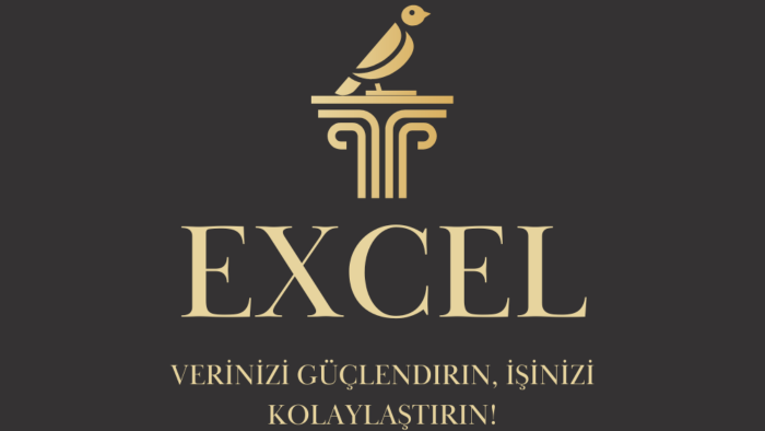 excel ile size özel profesyonel çözümler sunuyorum