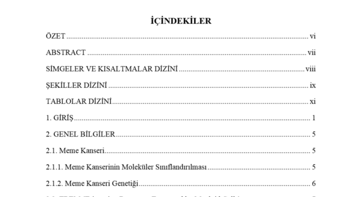 basım öncesi kitaplardaki yazım hatalarını düzenleyebilirim