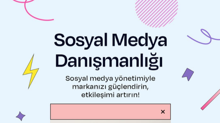 profesyonel sosyal medya yönetimi yapabilirim