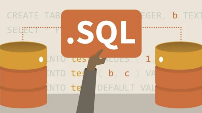ihtiyaçlarınıza özel SQL veritabanı sorguları yazabilirim