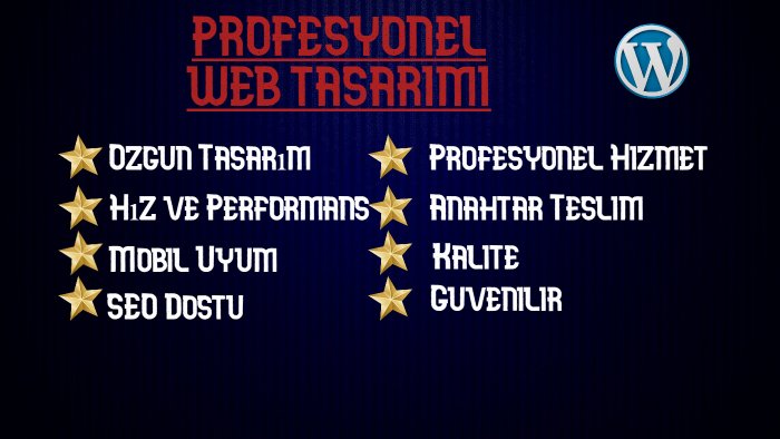 anahtar teslim profesyonel WordPress sitesi kuruyorum
