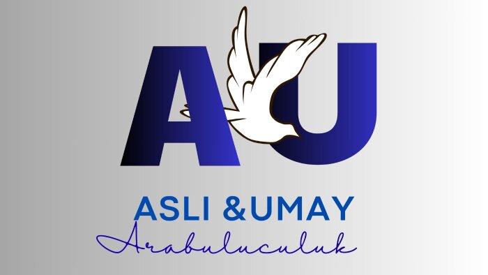 özgün profosyonel ve hızlı logo tasarımı yaparım