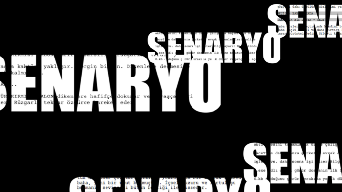 projelerinize fark attıracak senaryo ve hikaye yazıyorum