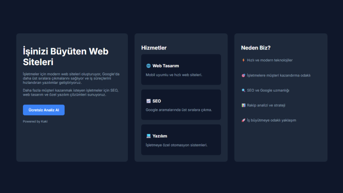 işletmeler için profesyonel web siteleri hazırlıyorum