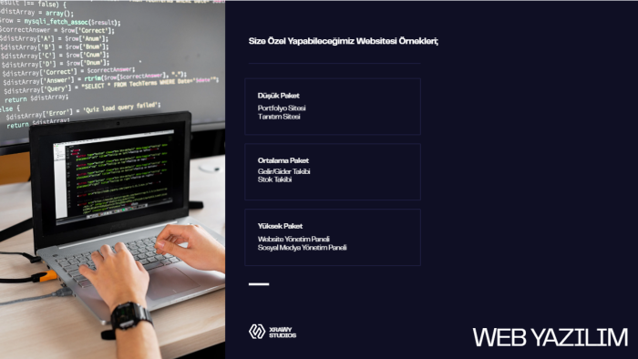 sizin için profesyonel bir websitesi yapabilirim