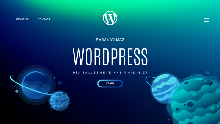 wordpress'de anahtar teslim web sitesi yaparım