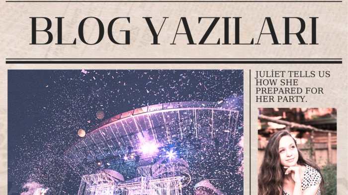 blog yazıları yazabilirim