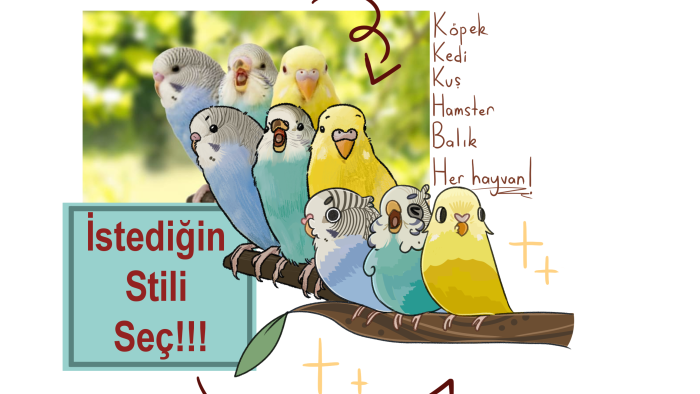 evcil hayvanlarızı çizebilirim