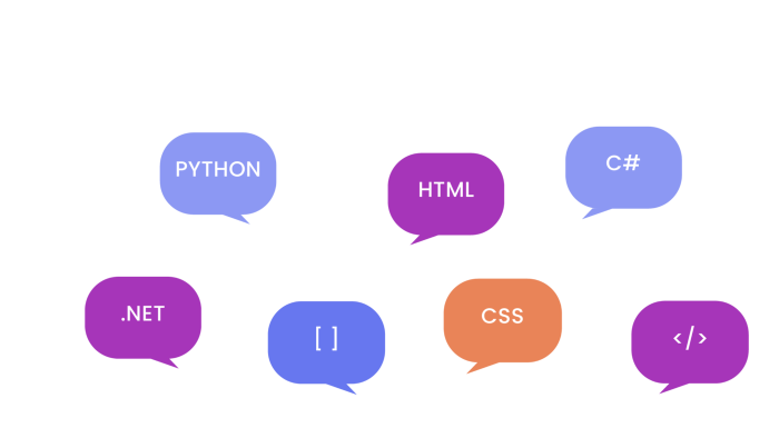web yazılım uygulamaları yapabilirim