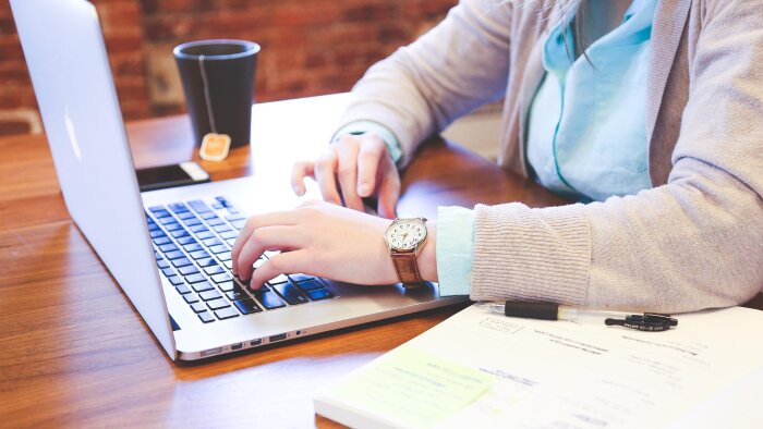 web sitesi içerik denetçiliği yapabilirim