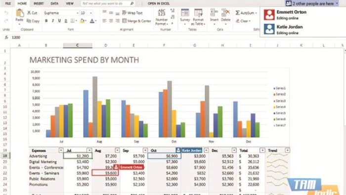 kusursuz excel veri girişi ve raporlama işleri yapıyorum