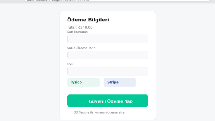 İyzico ve Stripe ile güvenli ödeme entegrasyonu yaparım