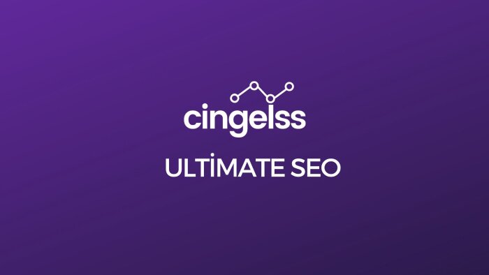 web sitenize premium seo çalışması yapabilirim