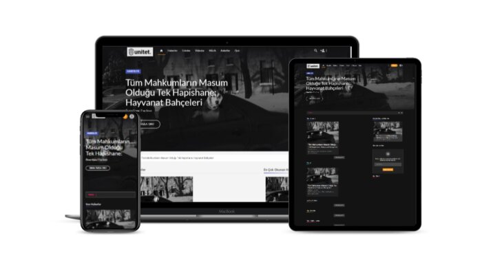 sizin için yönetim panelli blog, haber sitesi hazırlarım