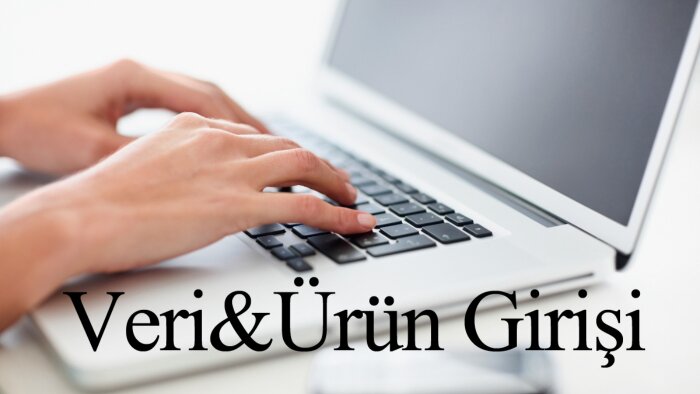 veri girişi ve veri  işleme konularında uzmanım