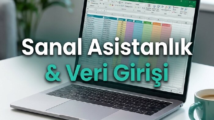 Excel veri girişi ve sanal asistanlık yaparım