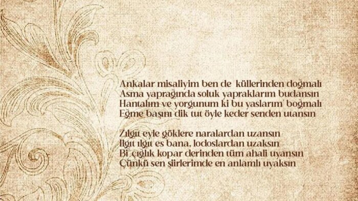 şarkı ve söz yazarlığı yapıyorum