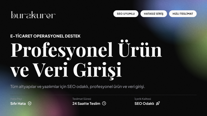 profesyonel şekilde ürün ve veri girişi yaparım