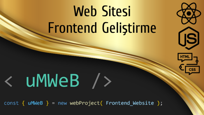ReactJS ile web sitenizi frontend olarak kodlayabilirim