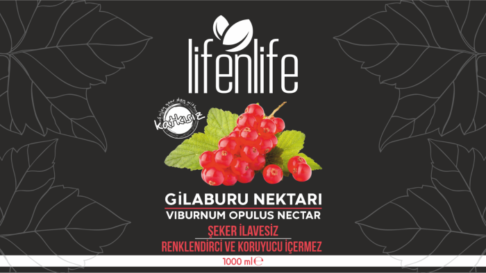 logo tasarımı yaparım