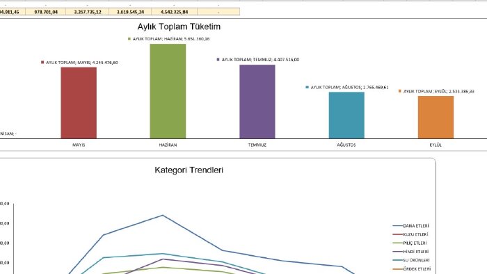Excel dosyası düzenleme, profesyonel dashboardlar tasarlarım