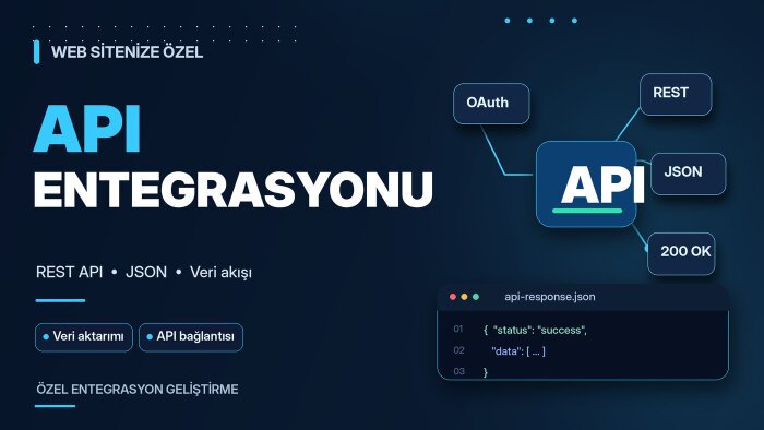 web sitenize özel API entegrasyonları geliştiririm