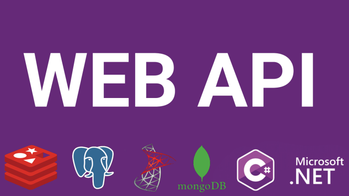 asp.net core webapi projenizi yazabilirim
