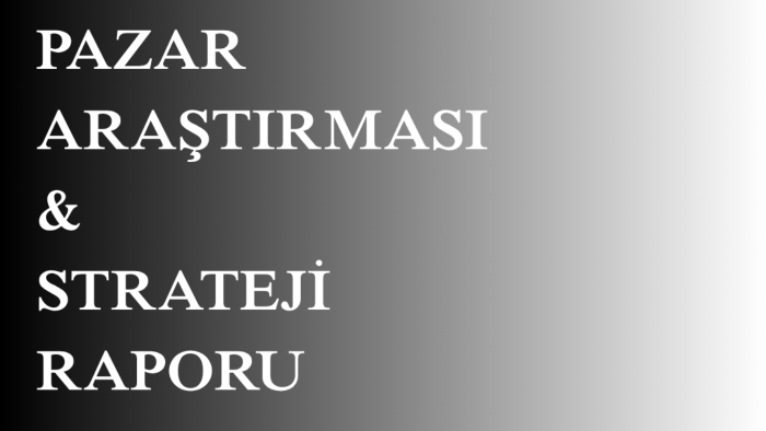  şirketlere pazar araştırması ve strateji raporu sunarım