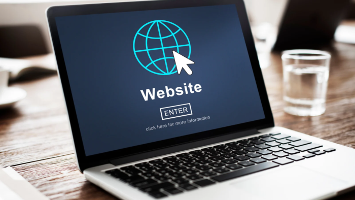 web sitenizin tüm metinlerini yazabilirim