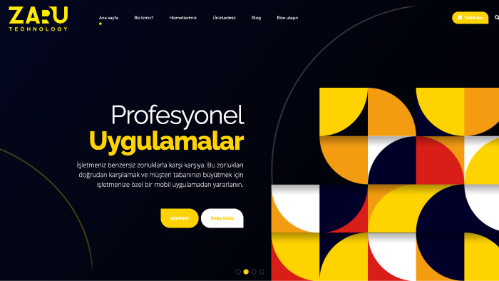 profesyonel web uygulamaları geliştirebilirim