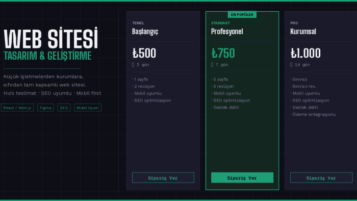 sizin için modern hızlı ve profesyonel web sitesi tasarlarım