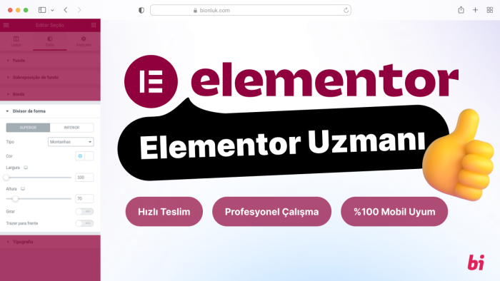 elementor ile profesyonel web siteleri tasarlarım