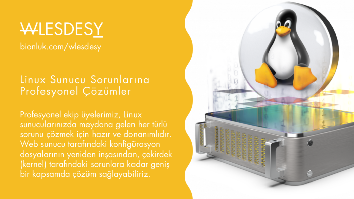 linux sunucu üzerinde oluşan sorunları çözebilirim