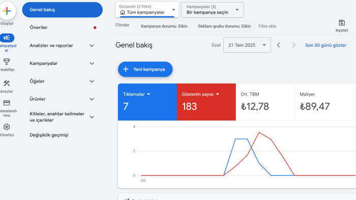Google ve Meta Ads reklam uzmanlığı yapıyorum